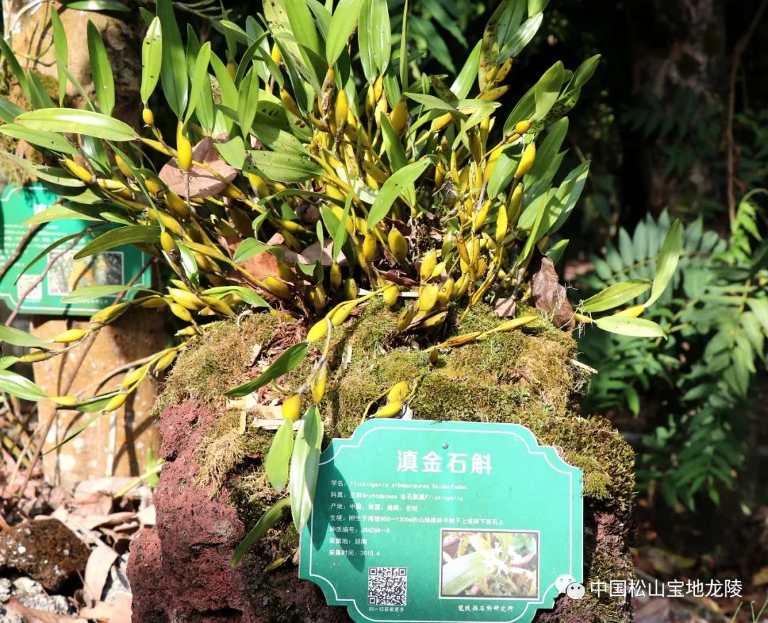 保山新闻网