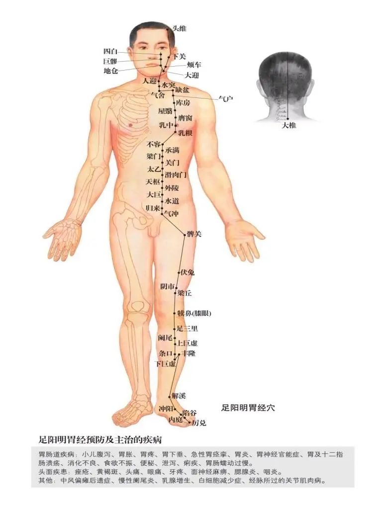 蒙自中医