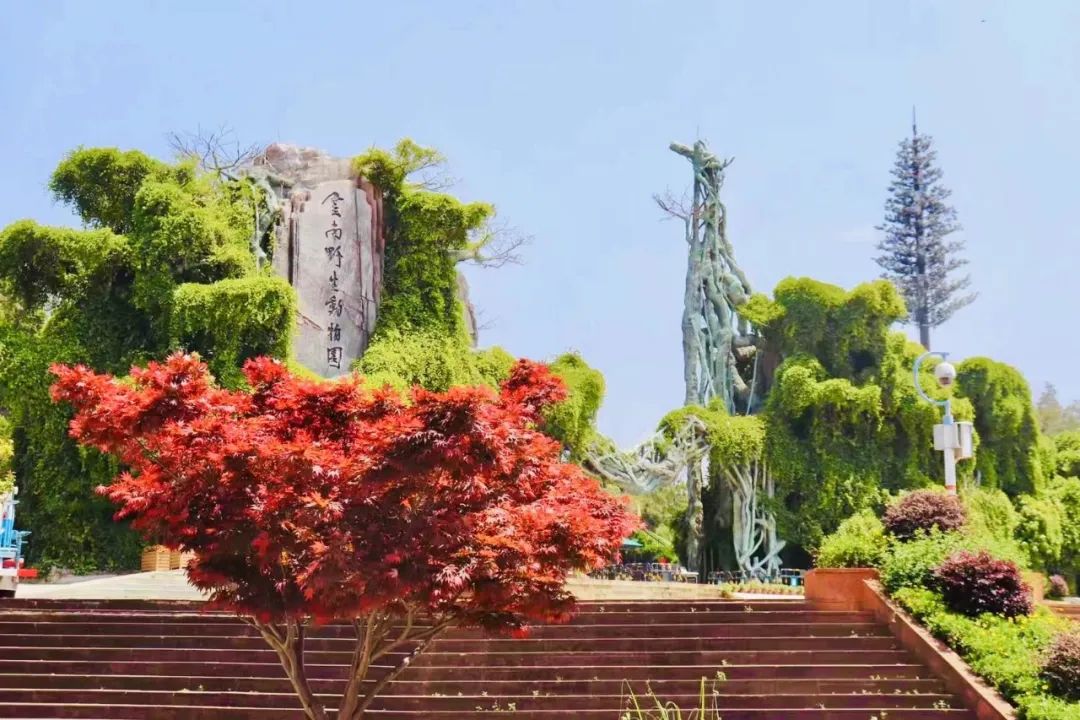 云南野生动物园