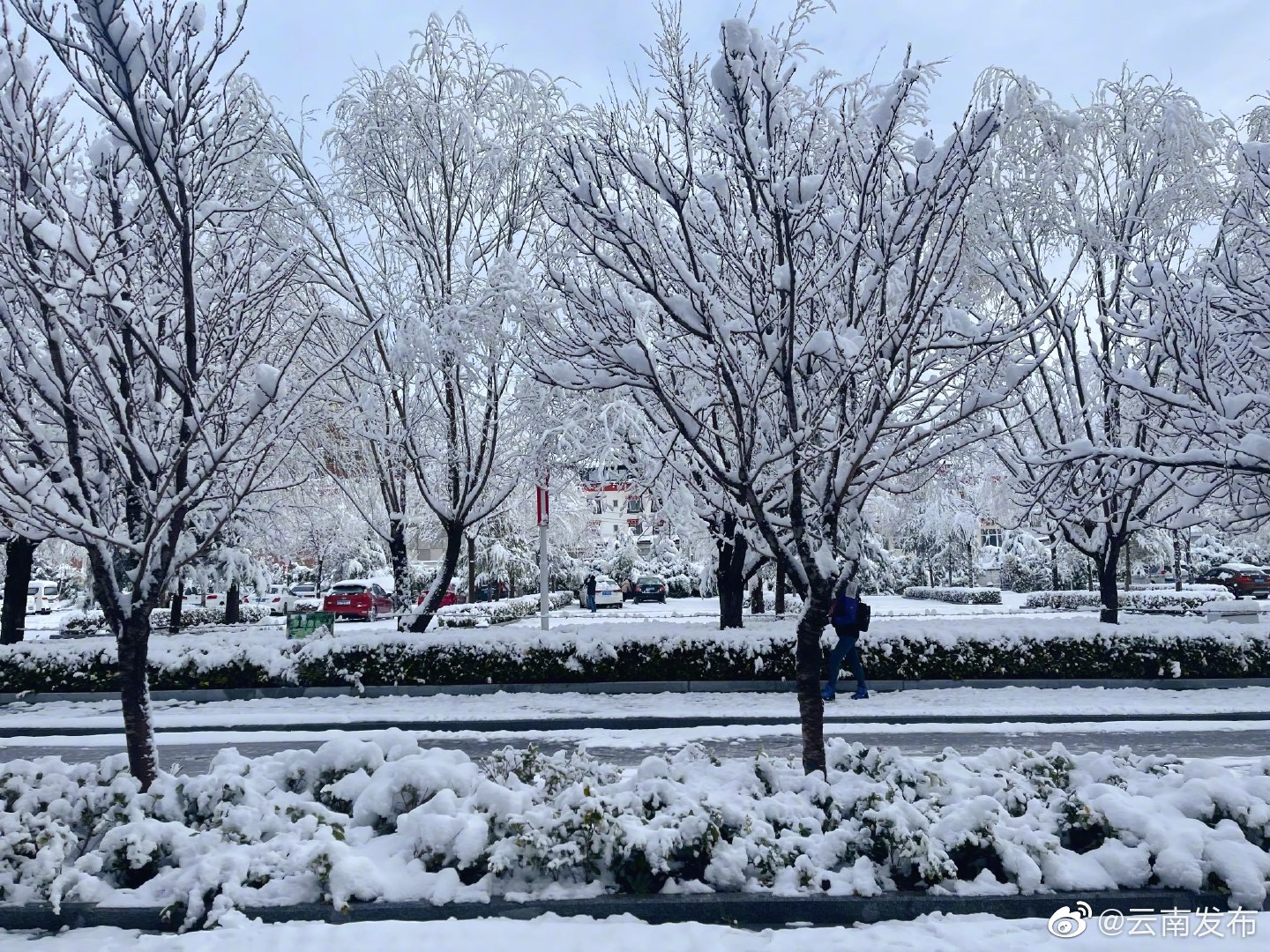 “云南发布”微博