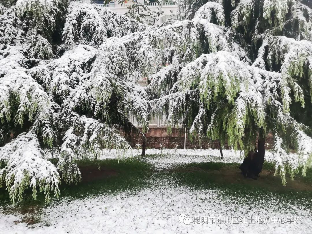 东川教育(微信)