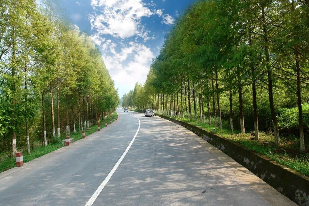 云南省人民政府网