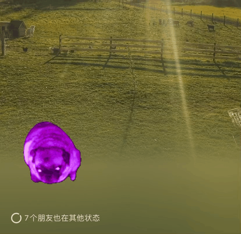 昆明信息港/cnkmxxg