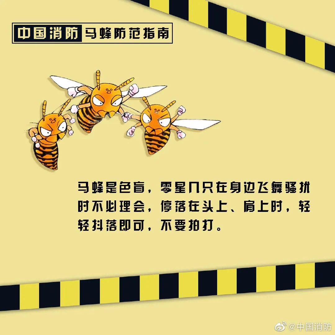 昆明信息港/cnkmxxg