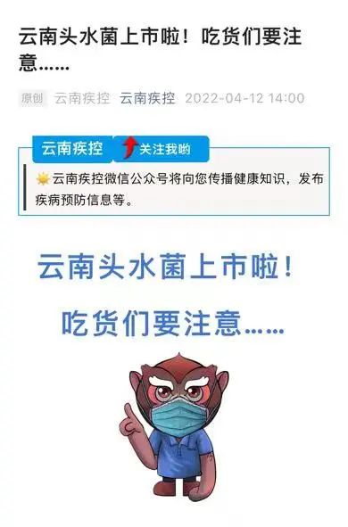 昆明信息港/cnkmxxg