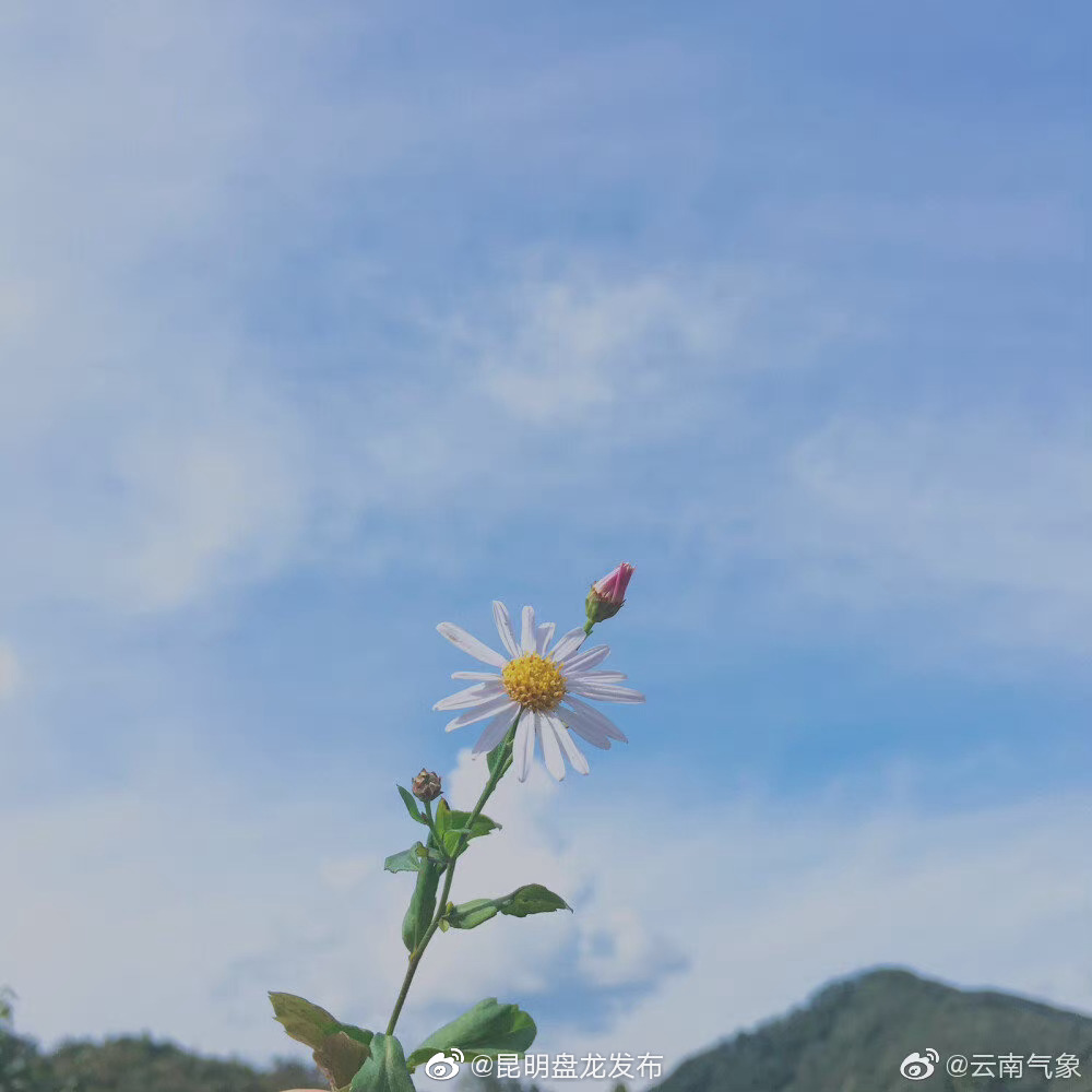 云南省未来24小时天气预报