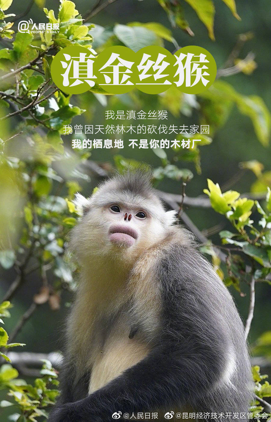 昆明经济技术开发区管委会