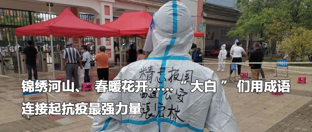 云南政法