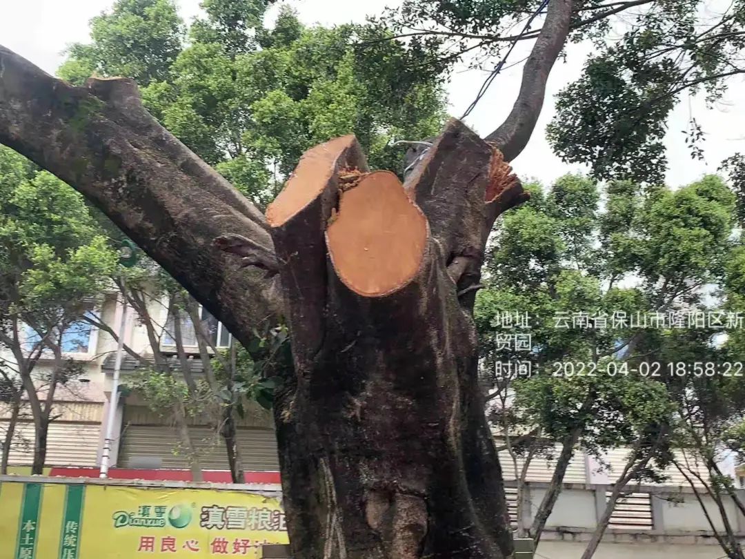 保山新闻网