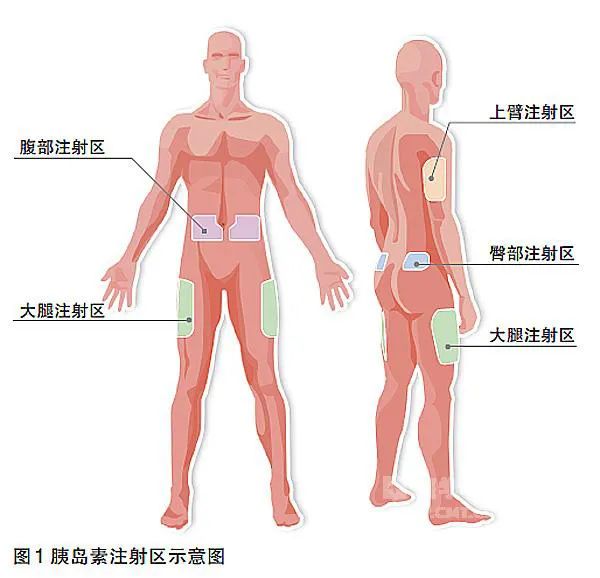 云南省中医医院