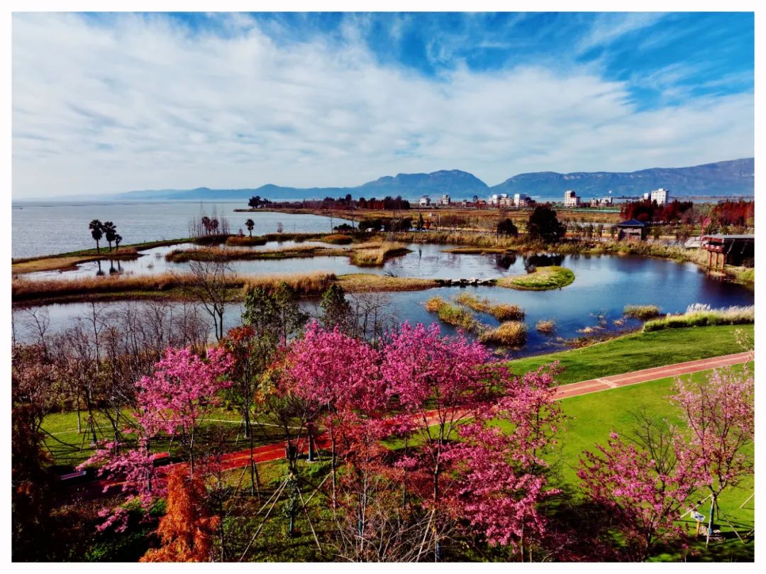 掌上春城微信公众号