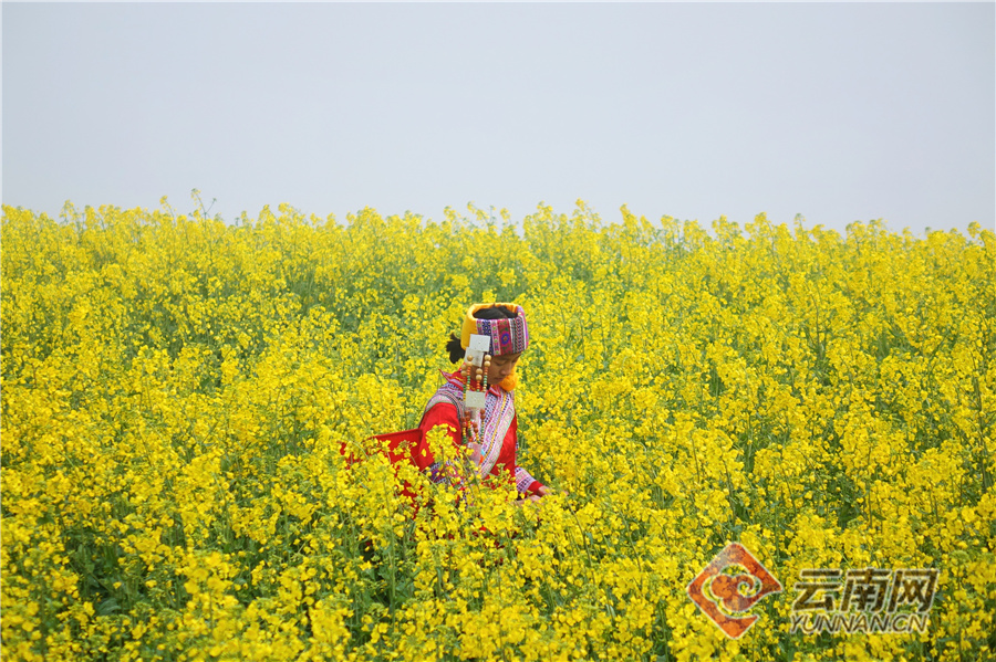 云南省文化和旅游厅
