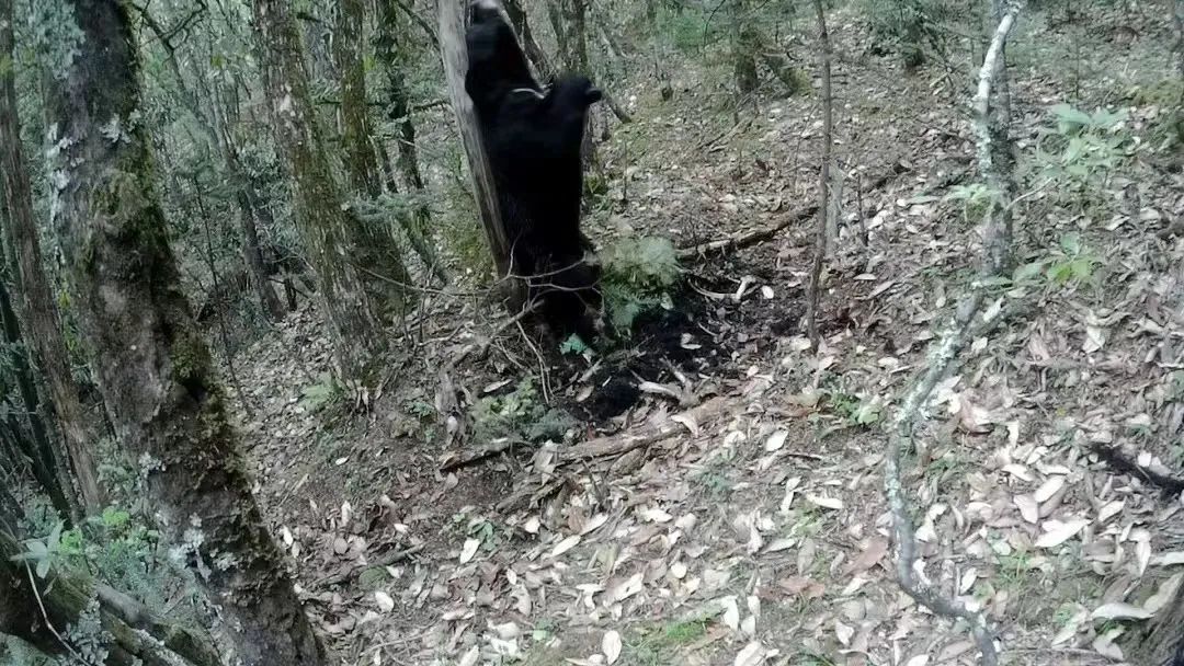 大理电视台