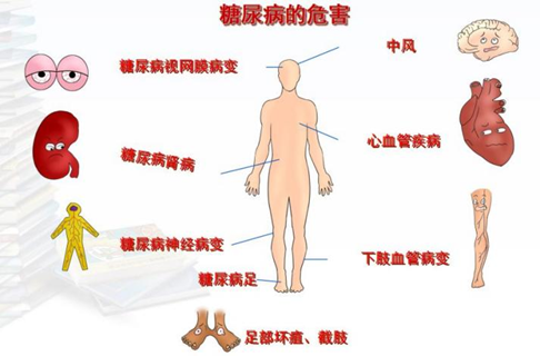 昆明市第一人民医院