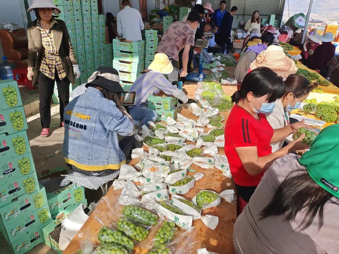 丽江日报