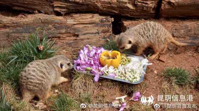 “昆明官渡发布”微博