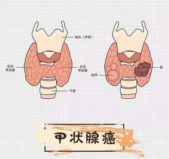 云南省中医医院