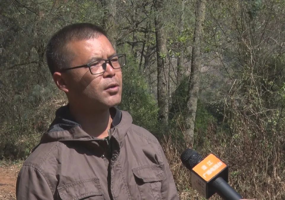 玉溪先锋