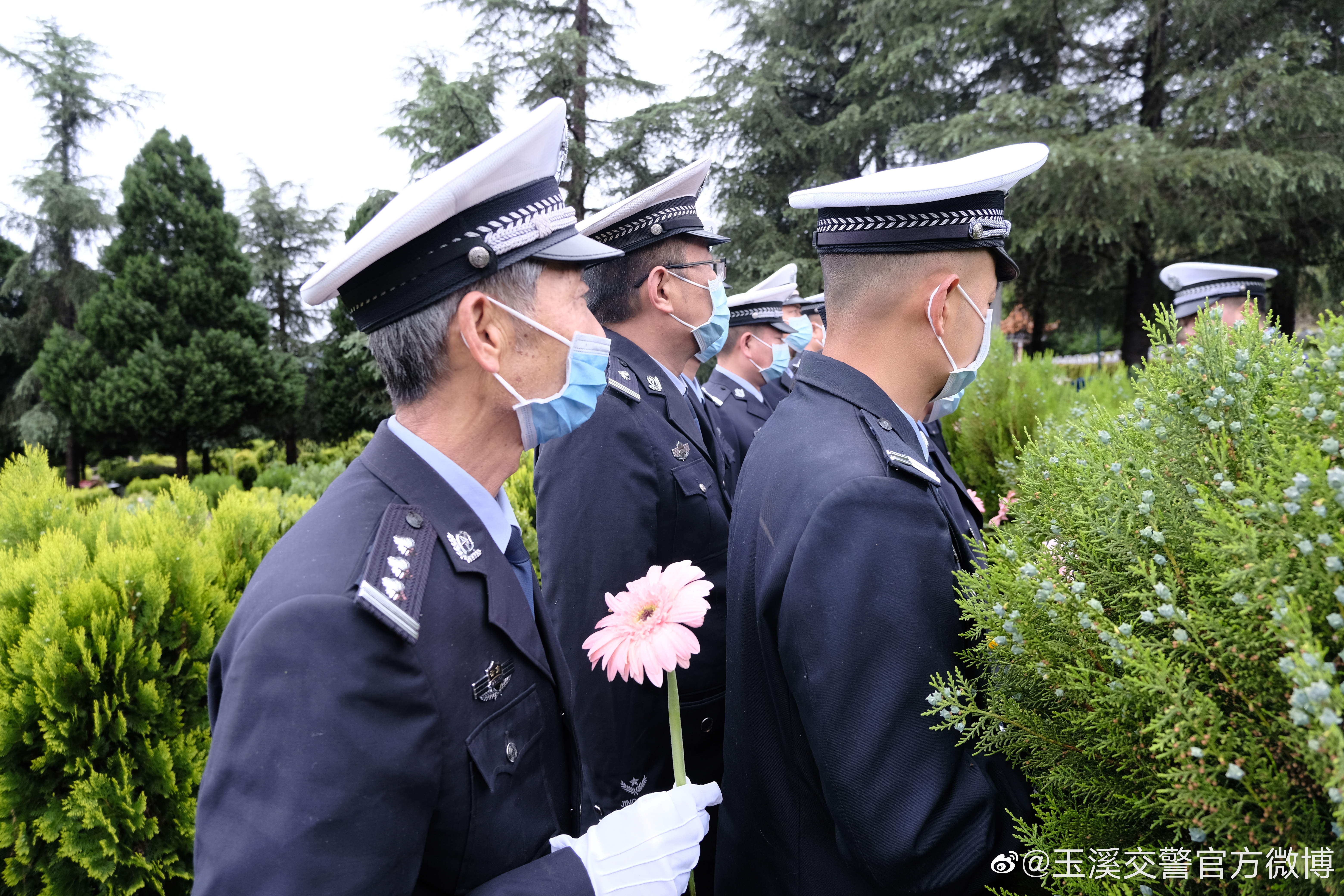玉溪交警官方微博