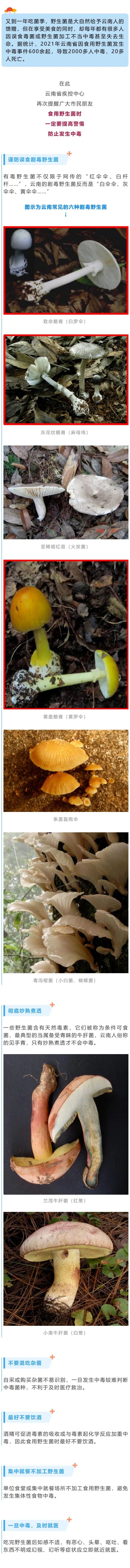 昆明阳宗海风景名胜区(微信)
