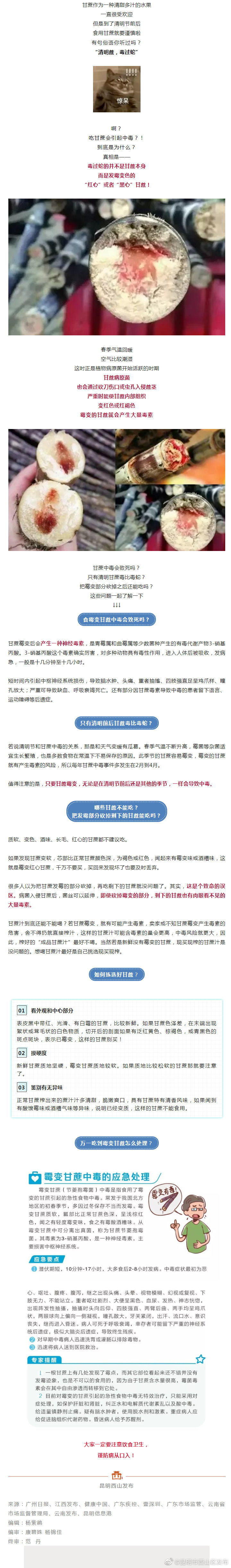 注意！这样的甘蔗不要吃！不要吃！