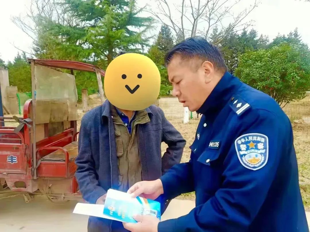 云南政法