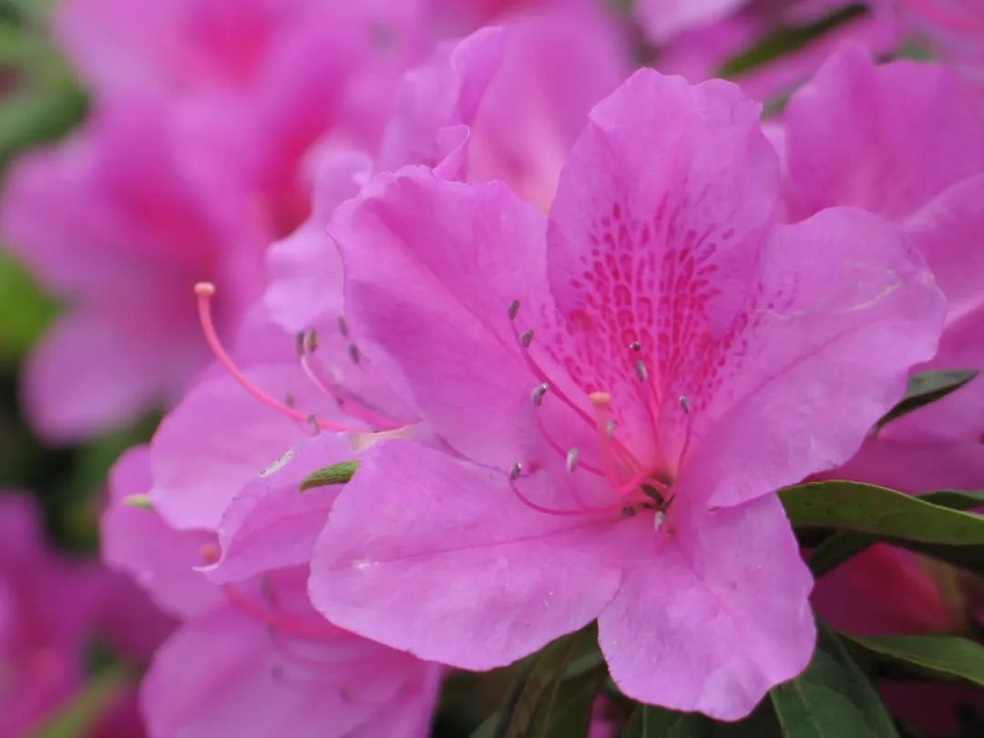 云南野生动物园