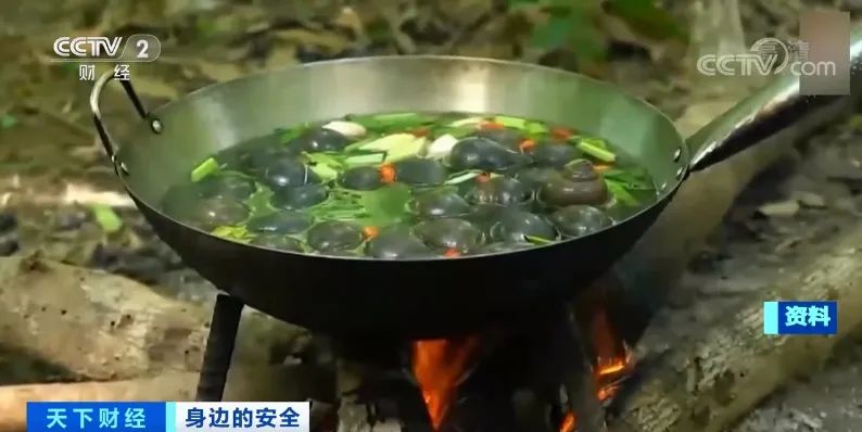 春城晚报