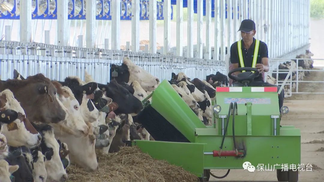 保山广播电视台