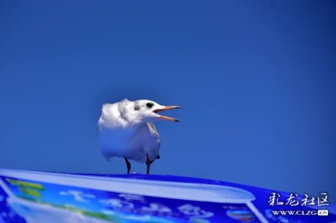 文明昆明
