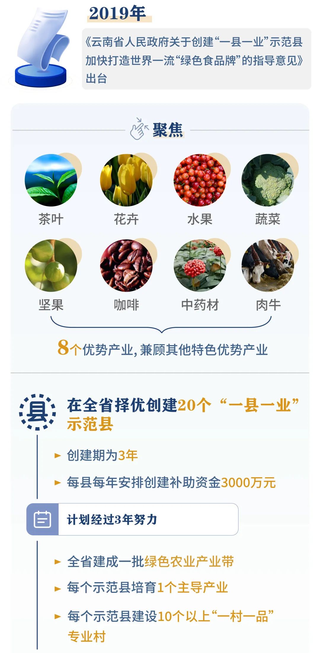 云南省人民政府网