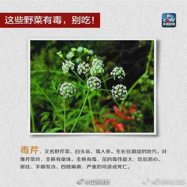 昆明市总工会