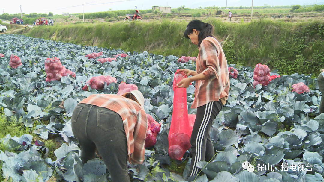 保山广播电视台