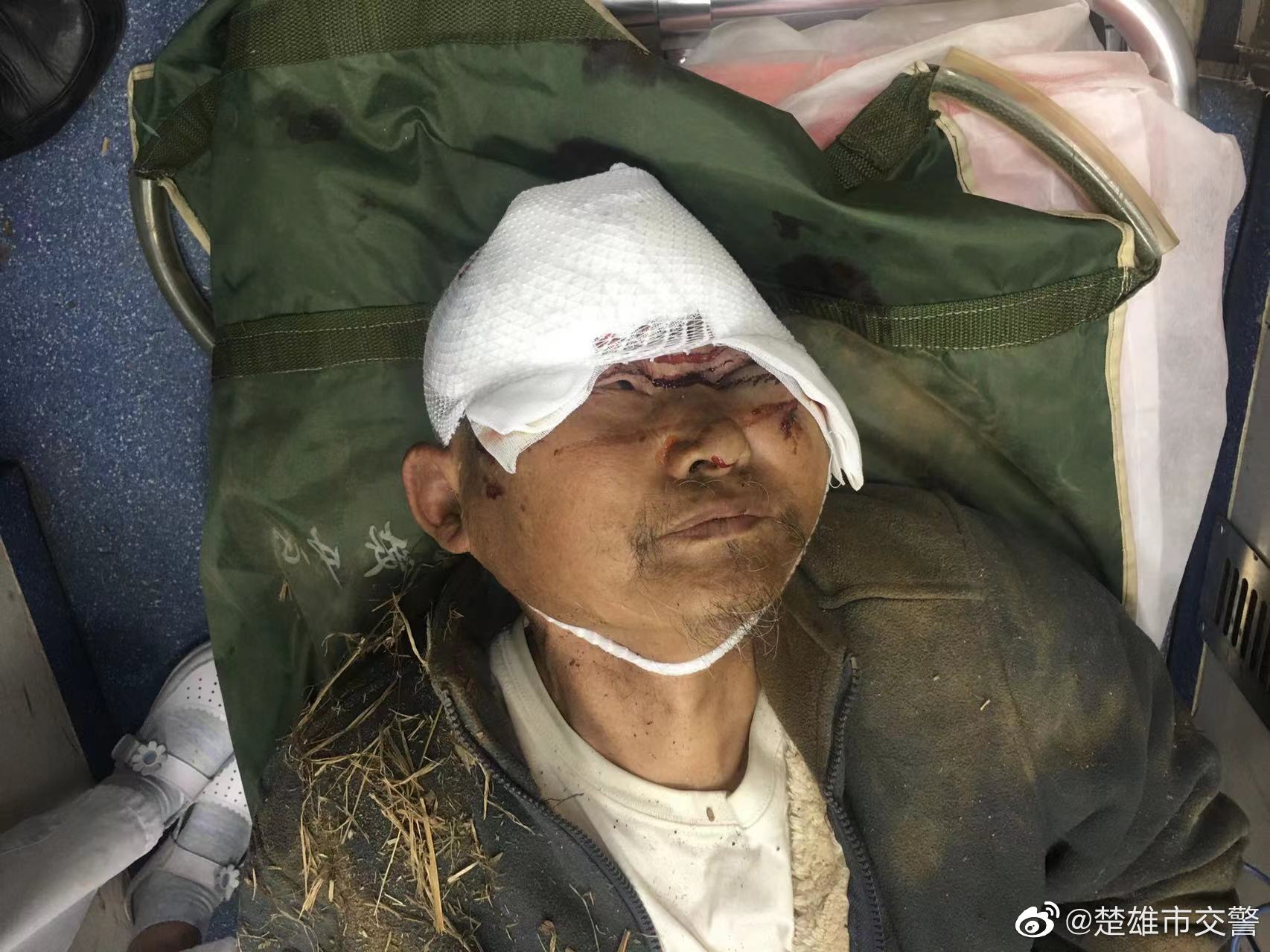 楚雄市交警微博