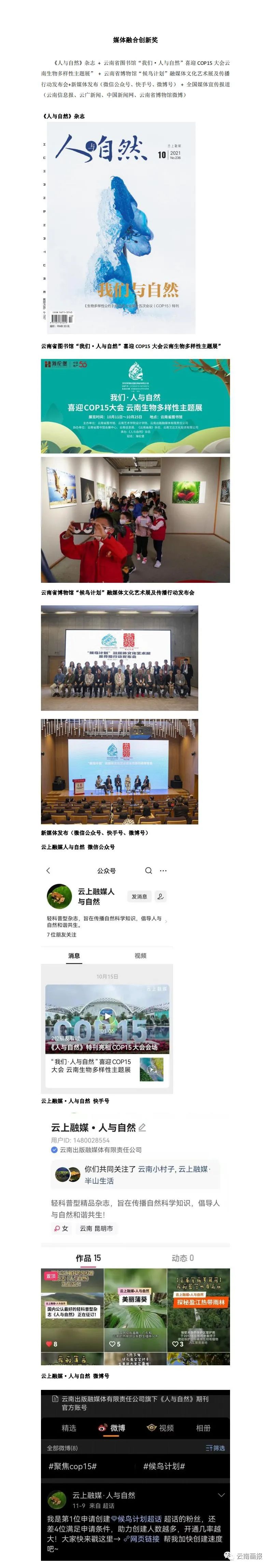 云南信息报