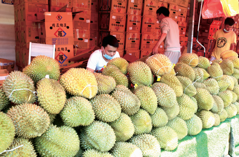 昆明信息港/cnkmxxg