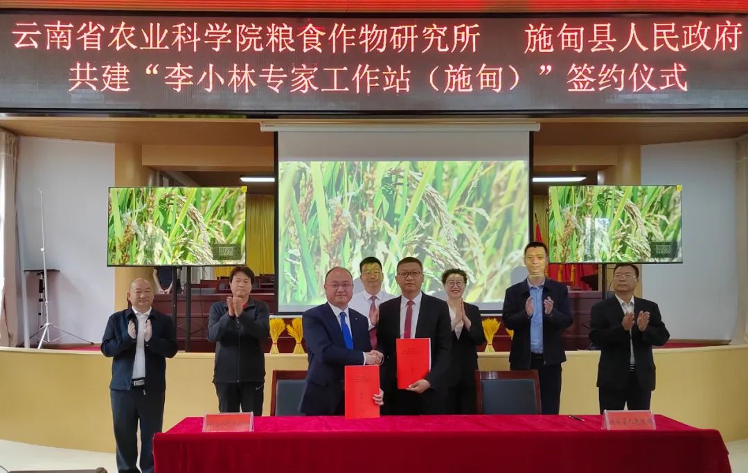 保山新闻网