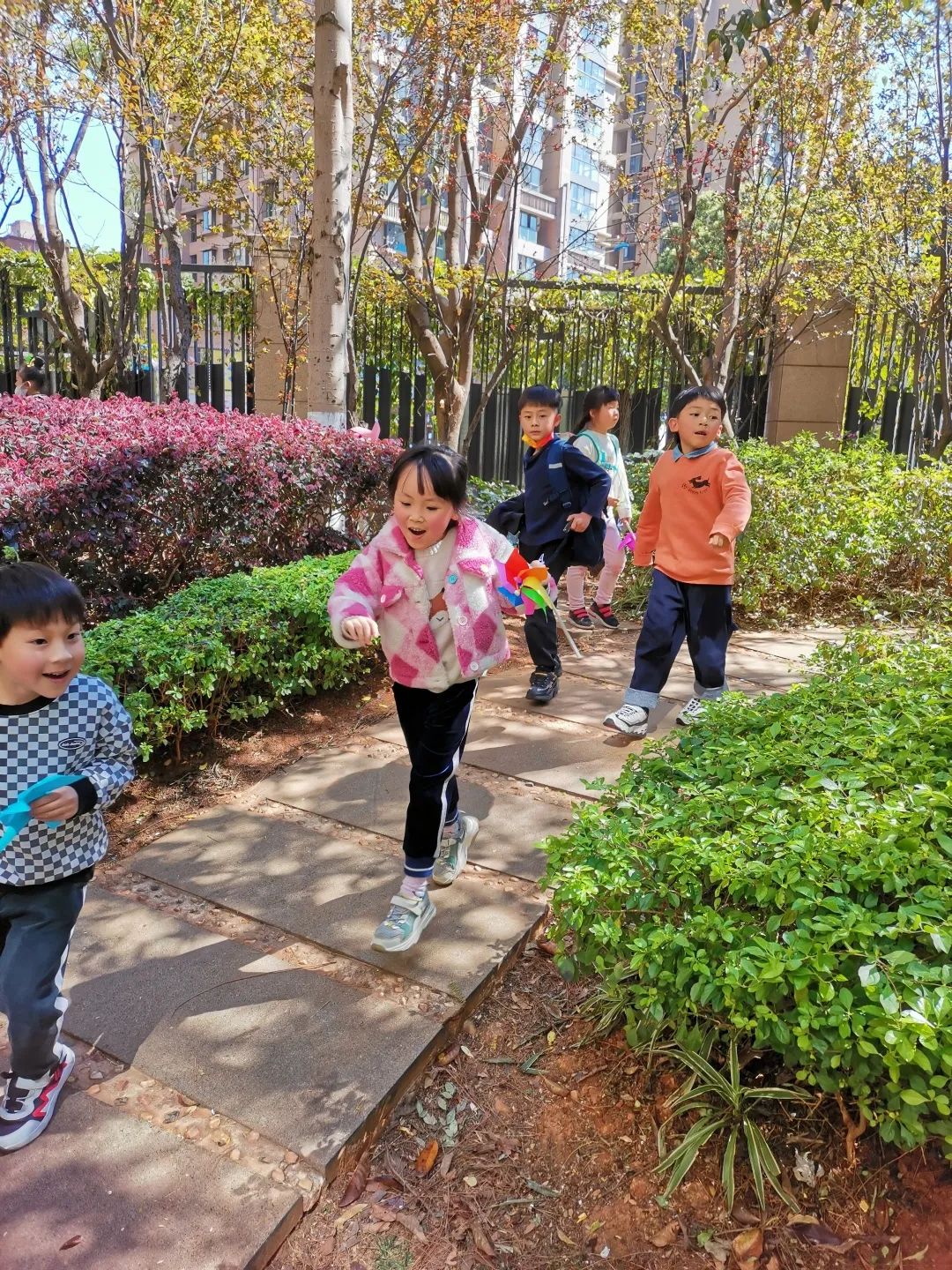 盘龙教育(微信)