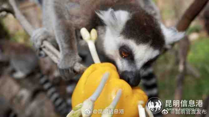 “昆明官渡发布”微博