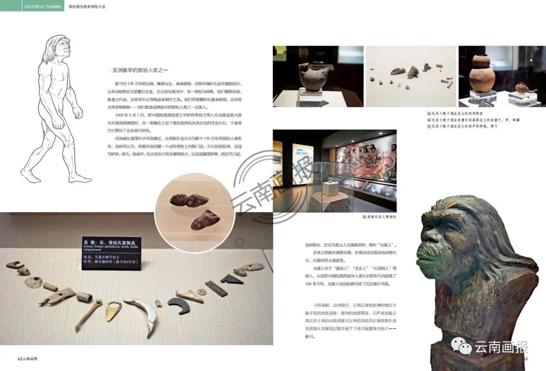 云南信息报