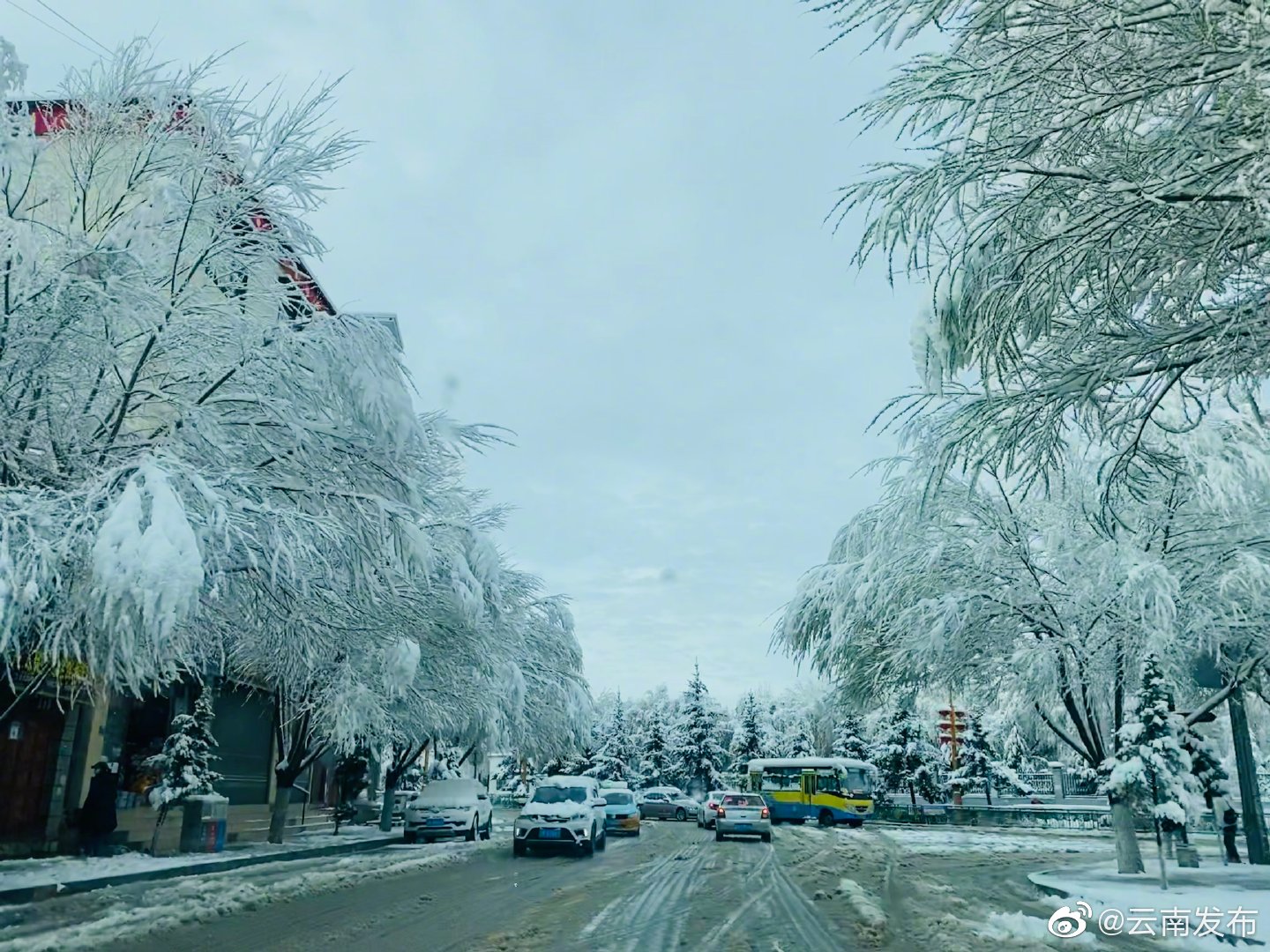 “云南发布”微博
