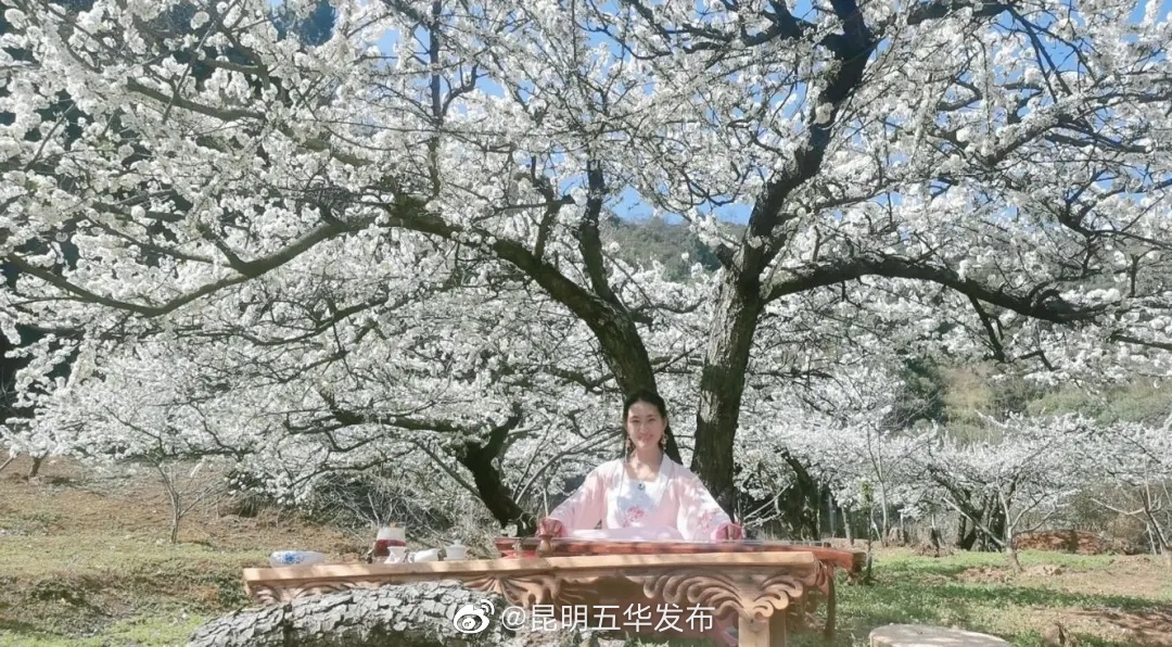 “昆明五华发布”微博