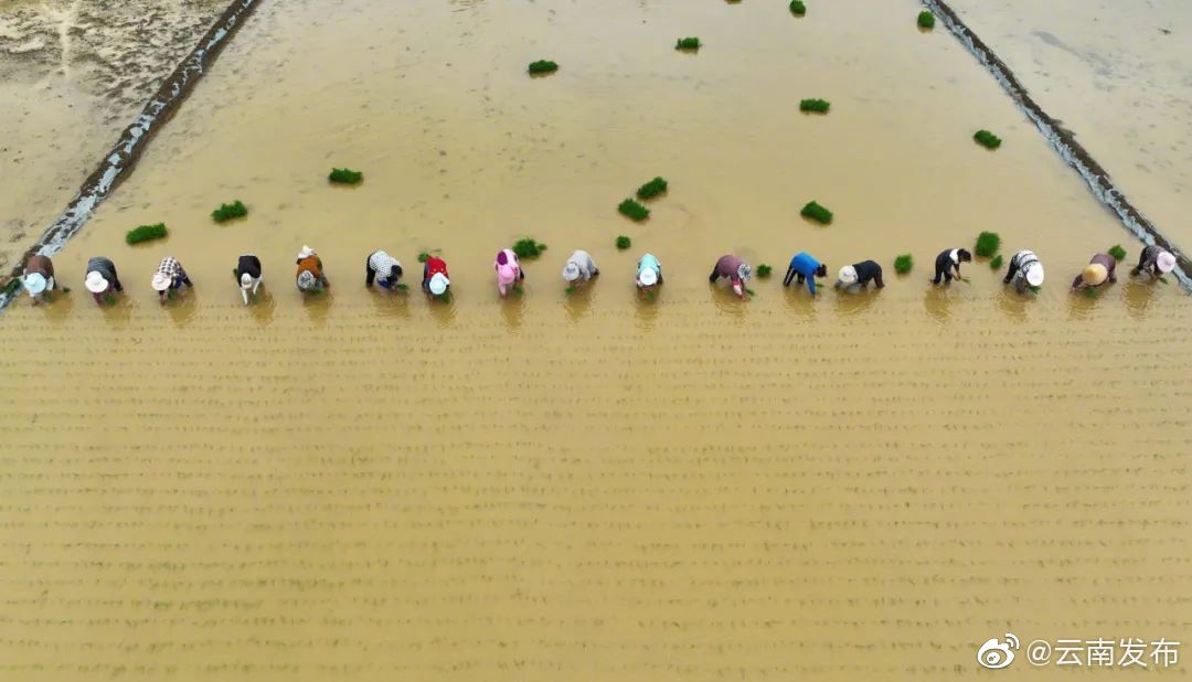 “云南发布”微博