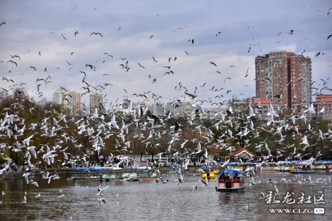 文明昆明