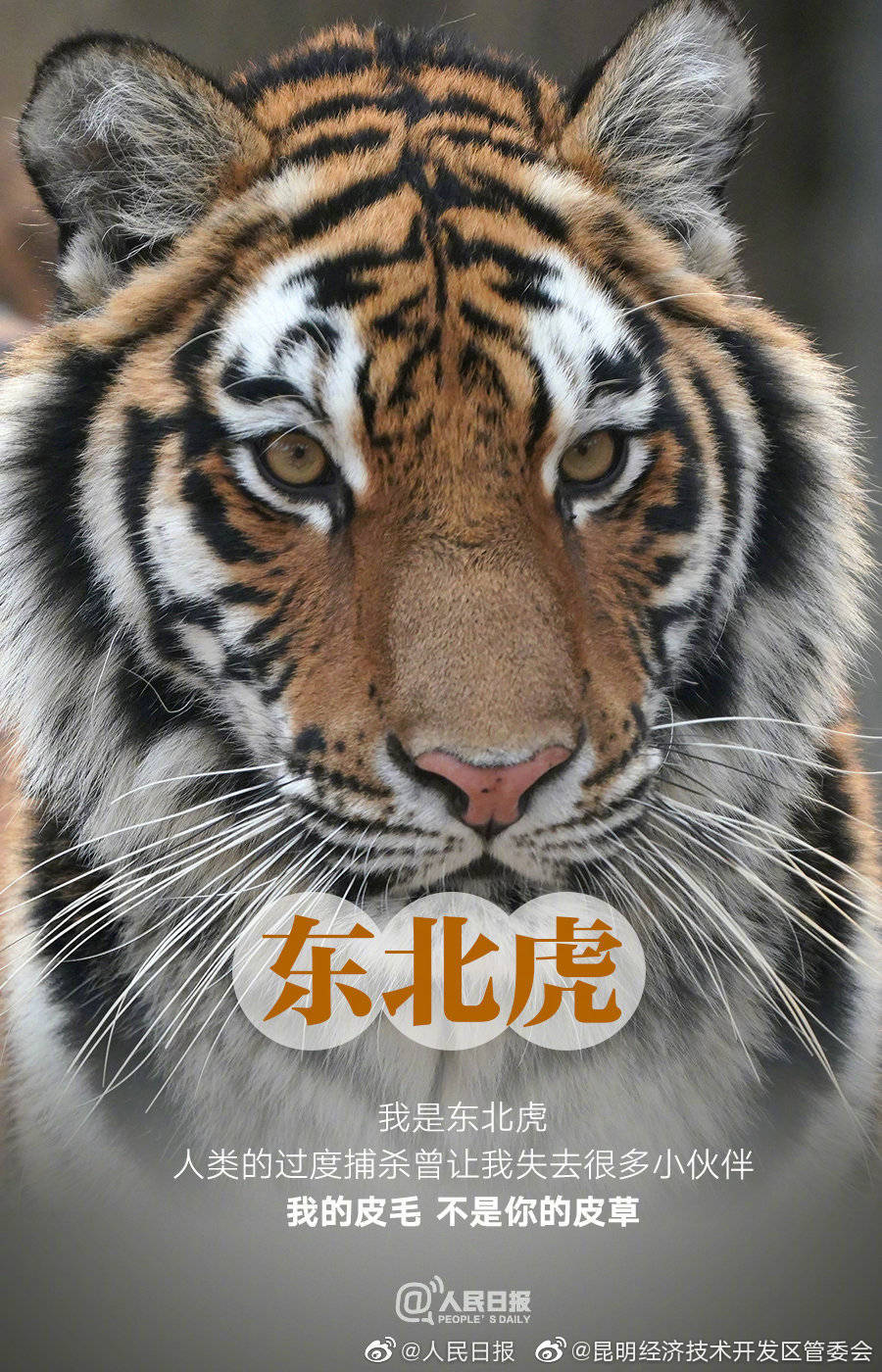 昆明经济技术开发区管委会