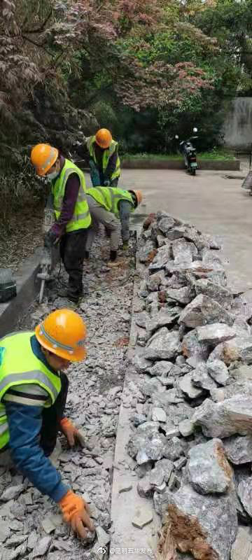 五华区（小区、庭院）清污分流工程正式动工！