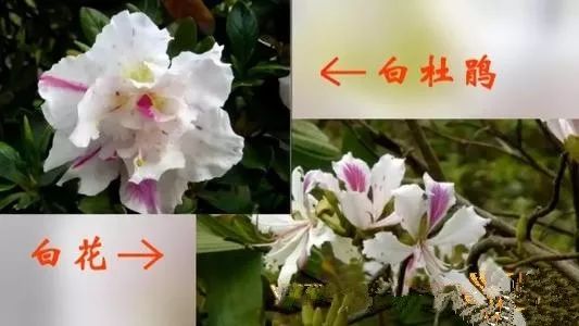 云南疾控