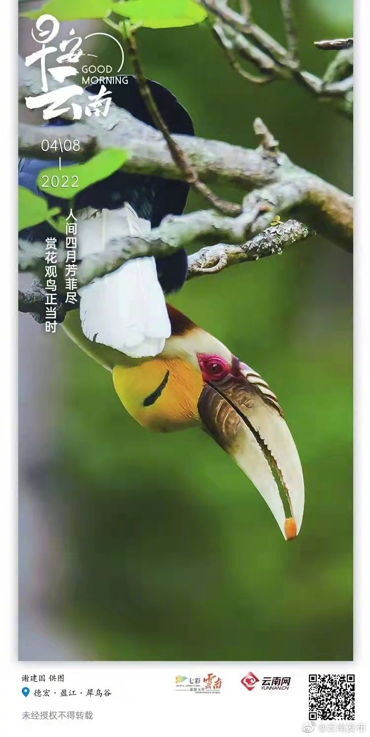 倾听犀鸟谷的山林鸟语 洗涤喧嚣的心灵