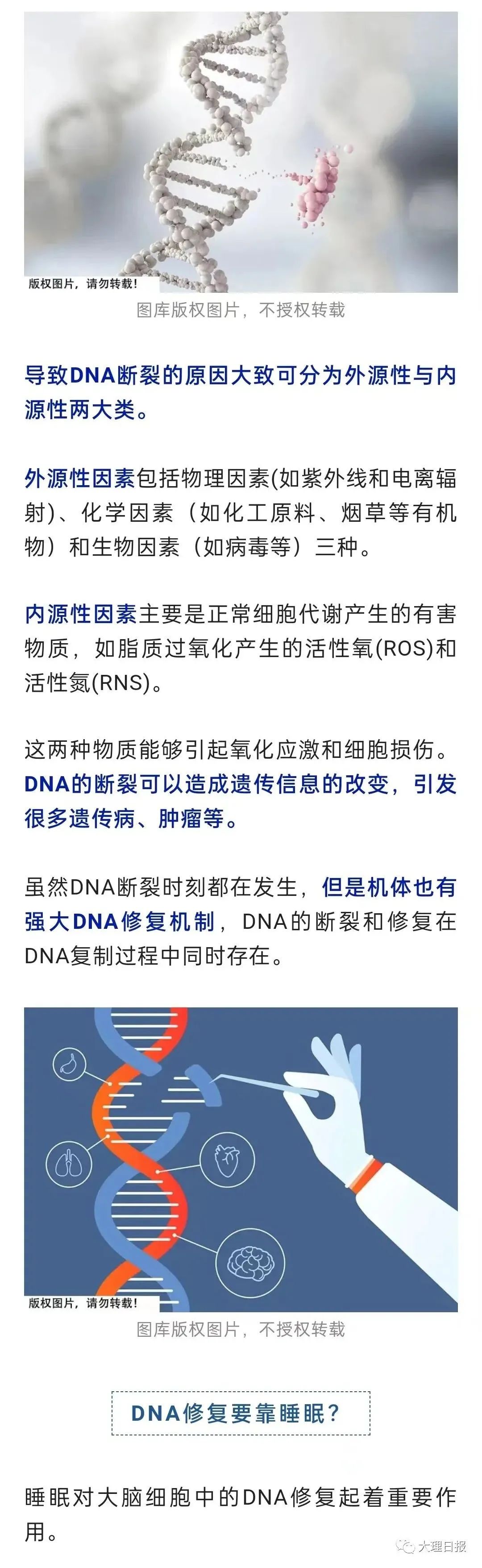 大理日报