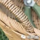 昭通日报